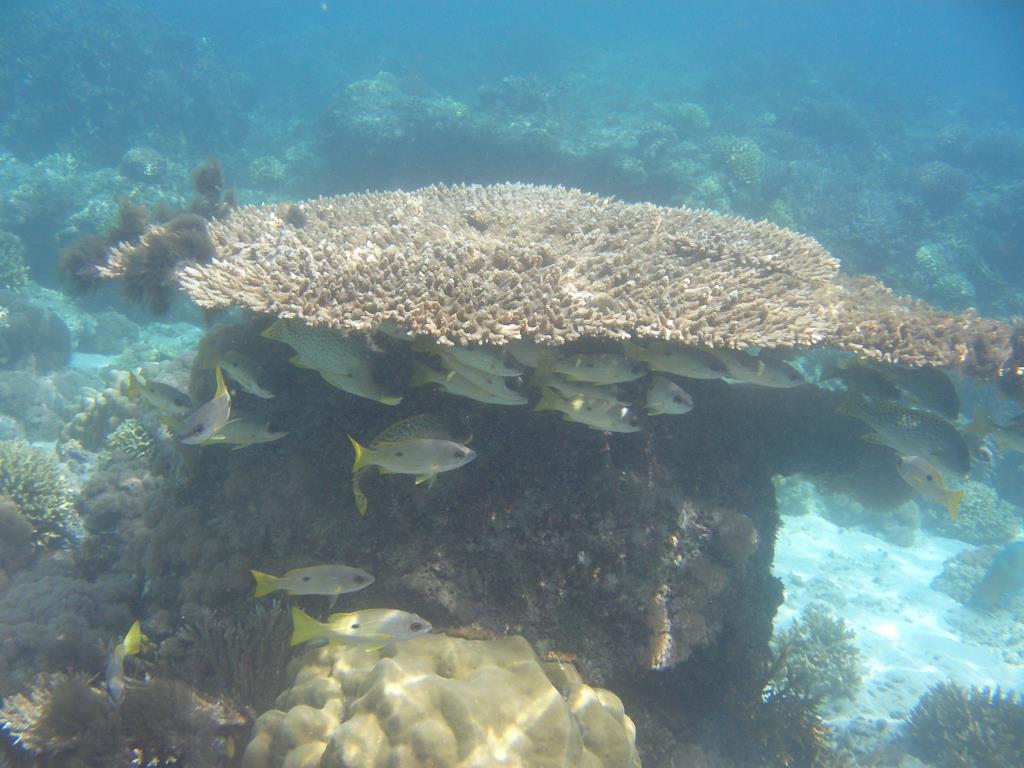 SANY0072_21.JPG