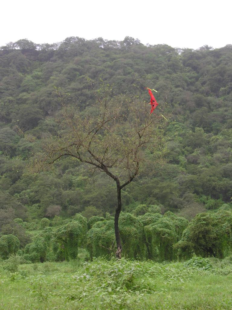 DSCN1455.JPG