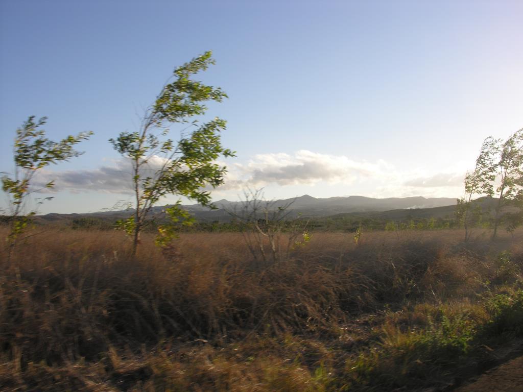DSCN2351.JPG