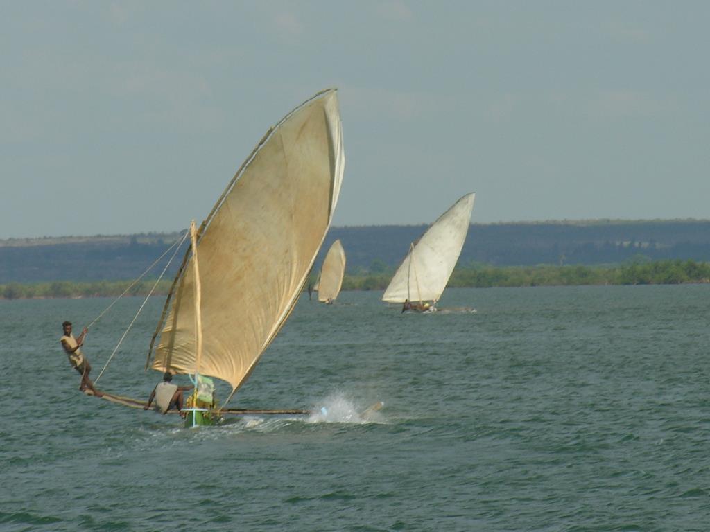 DSCN3203.JPG