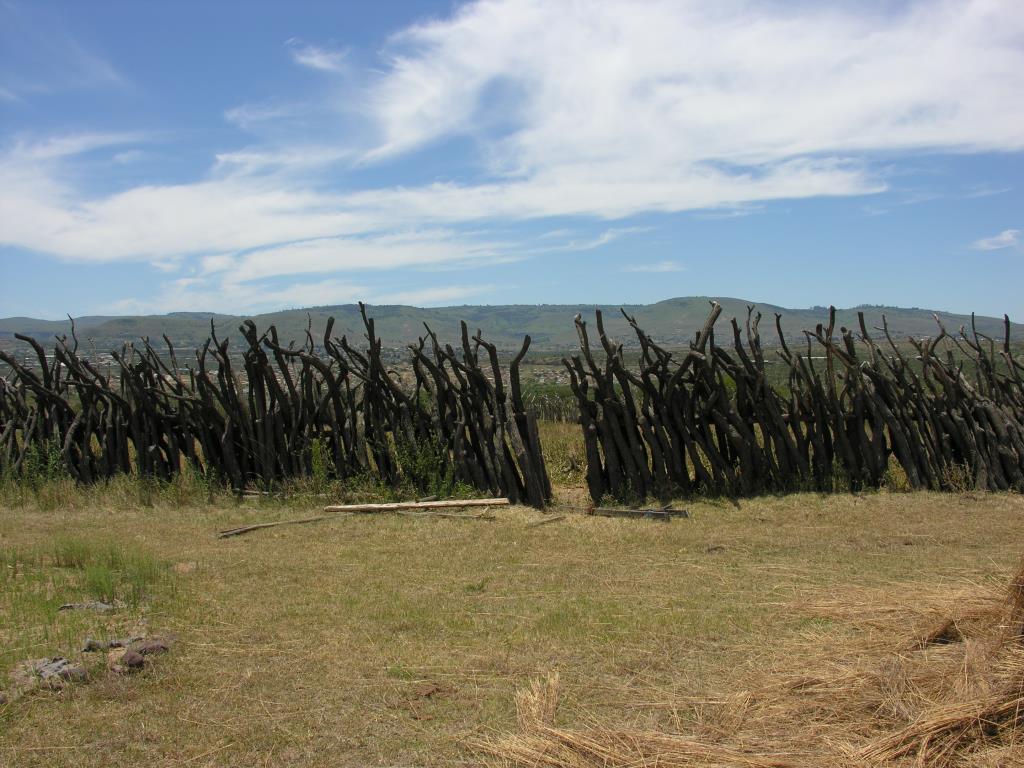 DSCN3649.JPG