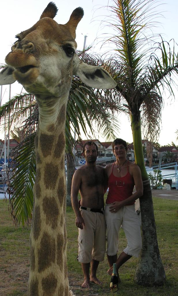 TuJuGiraffe.jpg