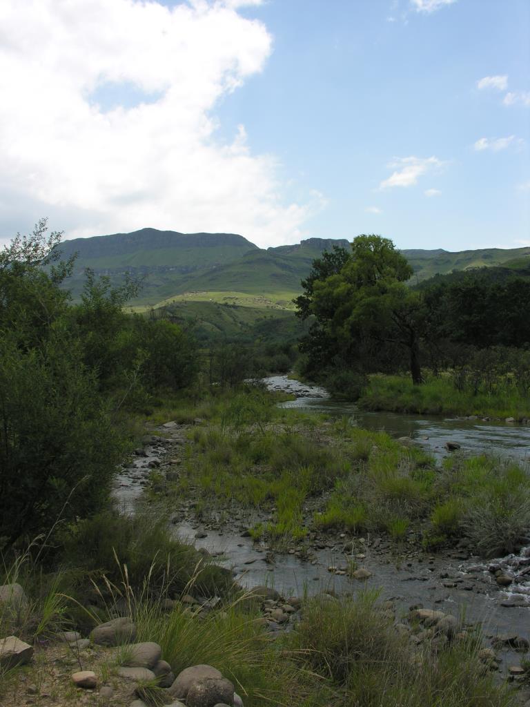 DSCN0178.JPG