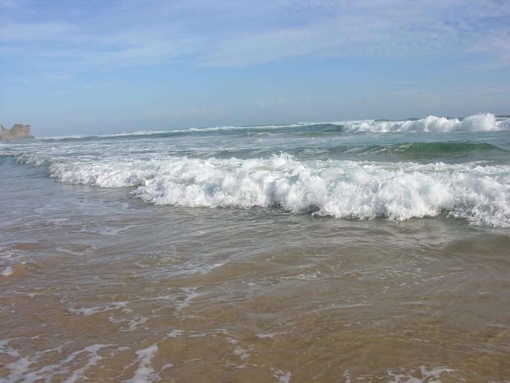 DSCN0878.JPG