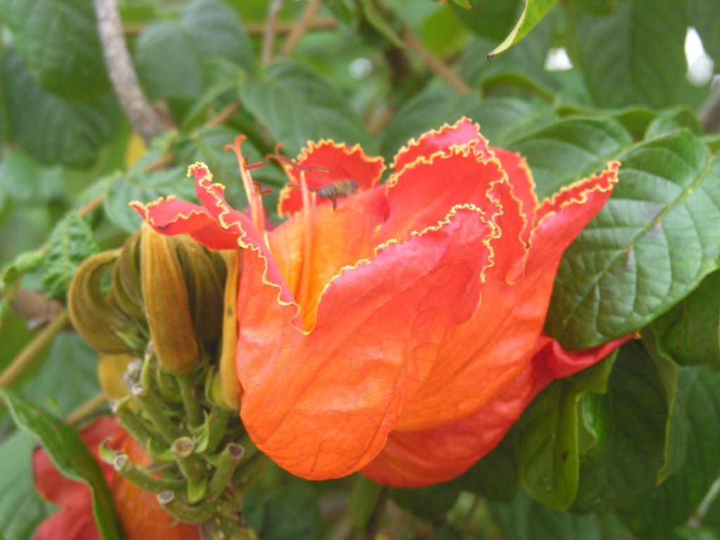 DSCN1202.JPG