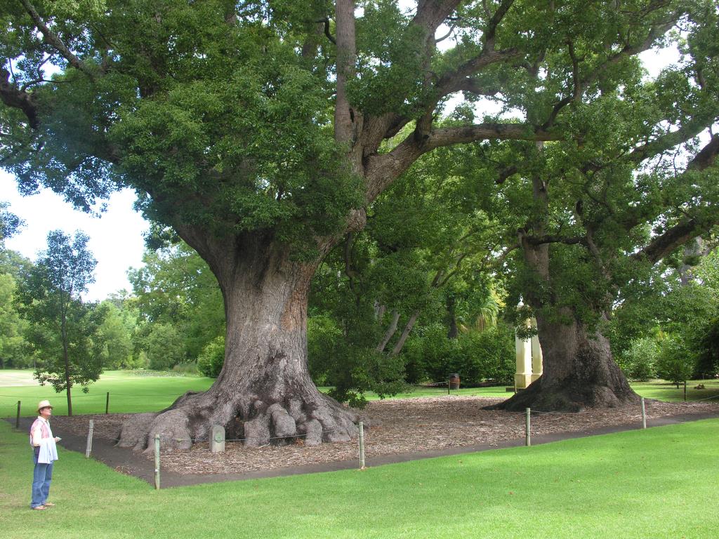 DSCN1738.JPG