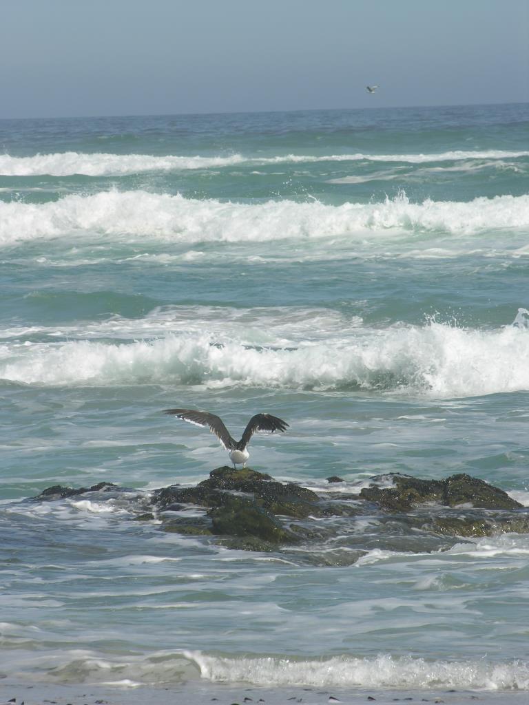 DSCN2740.JPG