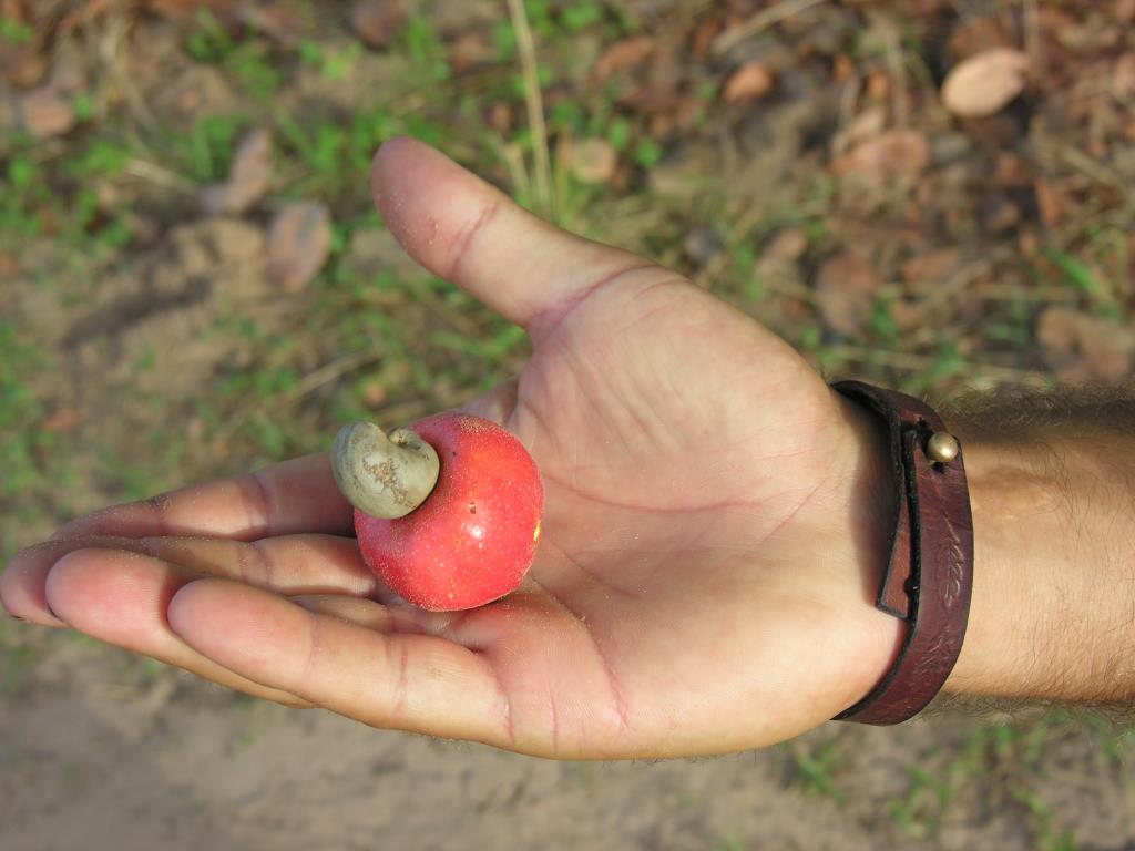 DSCN4146.JPG