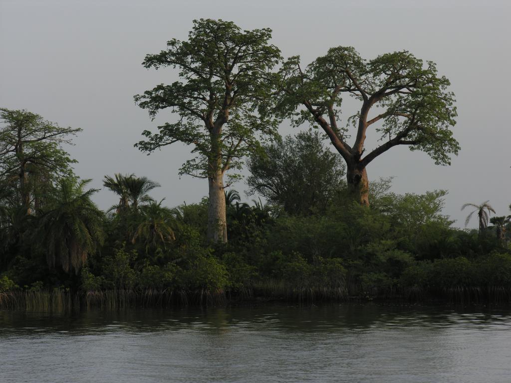 DSCN5039.JPG