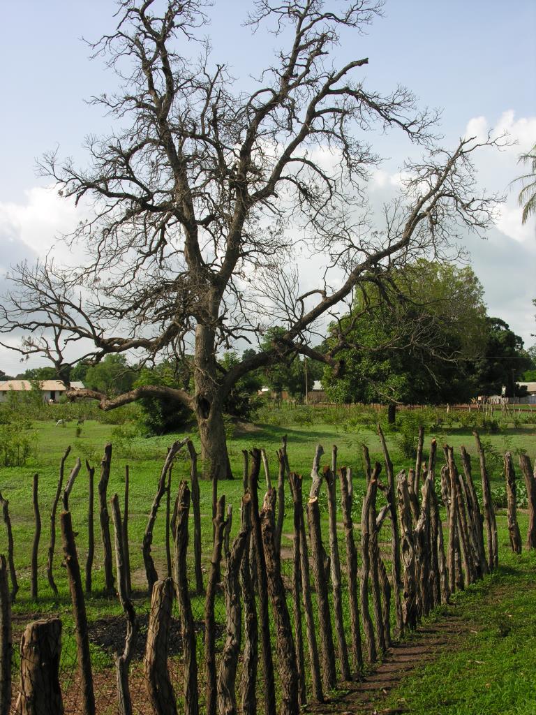DSCN5159.JPG